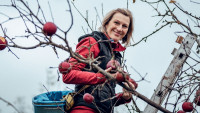zemedelStřížovická moštárna - slizeň jablek F